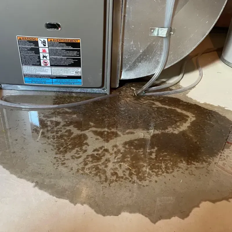 Appliance Leak Cleanup in Midlothian, IL